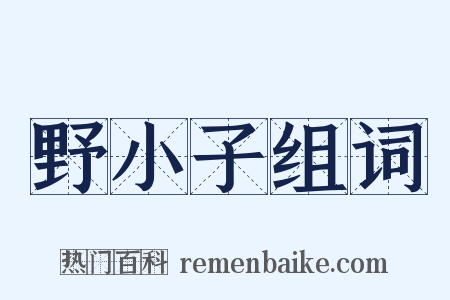 野小子组词是什么意思的图片
